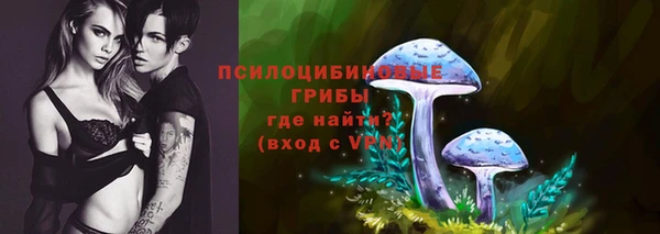 соль курить ск Няндома