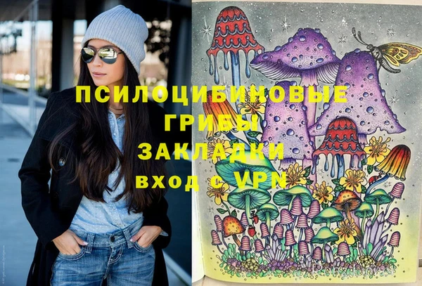 твердый Нязепетровск