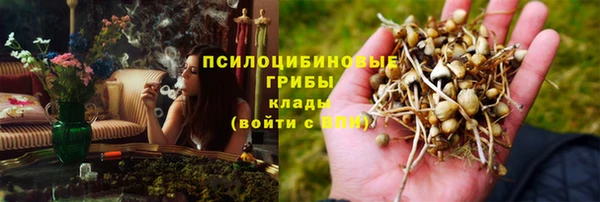 соль курить ск Няндома