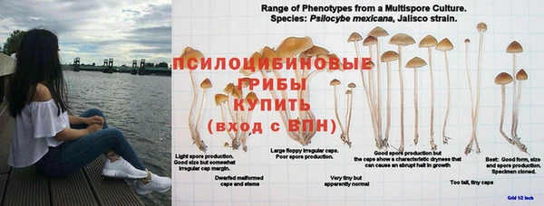 соль курить ск Няндома