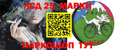 шишки Будённовск