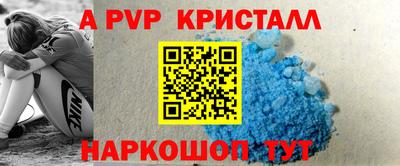 шишки Будённовск