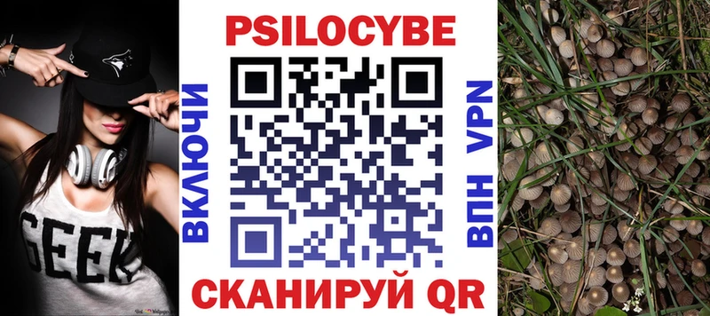 купить закладку  omg ссылка  Псилоцибиновые грибы Psilocybine cubensis  Вязьма 