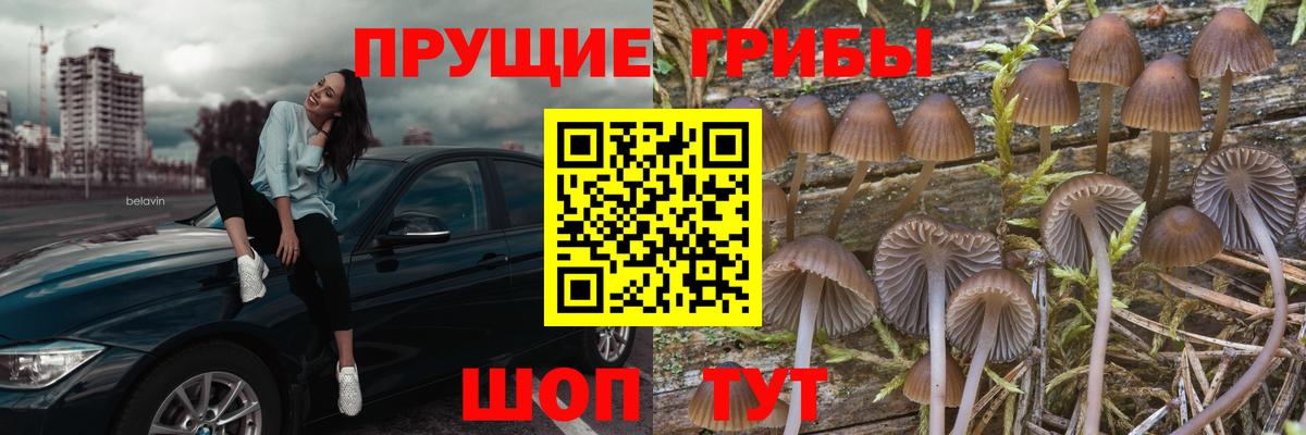Псилоцибиновые грибы MAGIC MUSHROOMS Вязьма