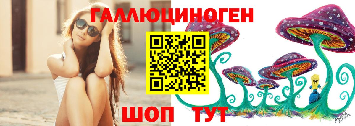 купить наркоту  Вязьма  Галлюциногенные грибы Magic Shrooms 